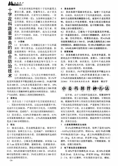 十字花科蔬菜害虫的综合防治技术