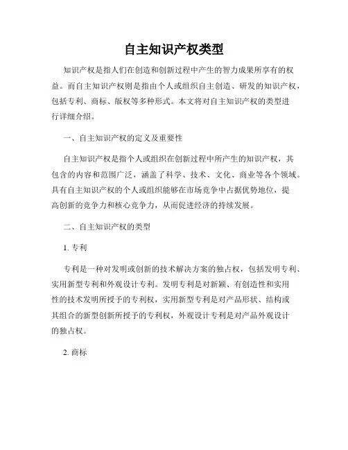 自主知识产权类型