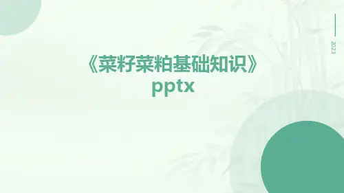 菜籽菜粕基础知识