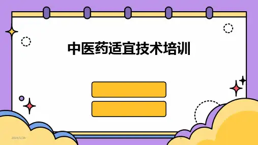 2024版中医药适宜技术培训