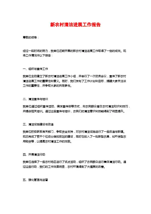 新农村清洁进展工作报告