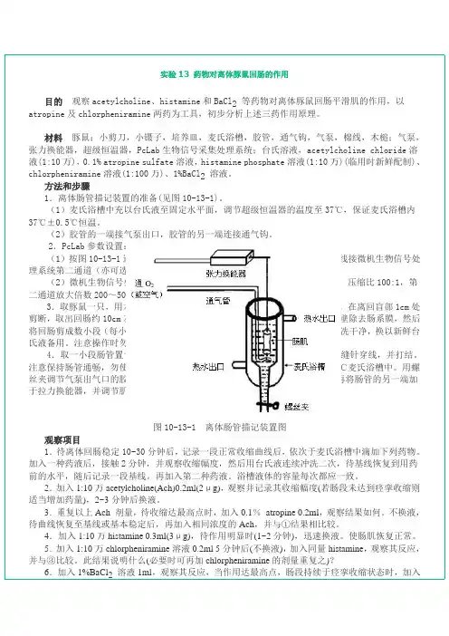 实验13 药物对离体豚鼠回肠的作用