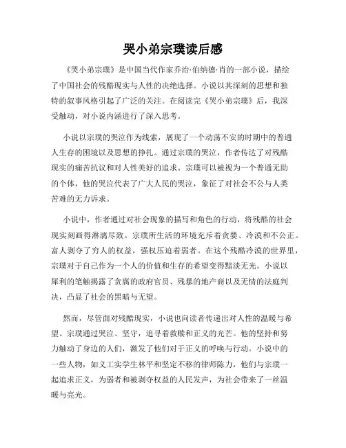 哭小弟宗璞读后感