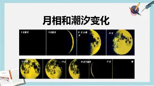 人教版高中地理选修一2.3《月相和潮汐变化》ppt课件1