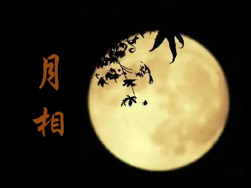 月相(PPT课件(初中科学)17张)
