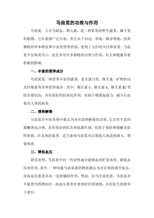 马齿苋的功效与作用
