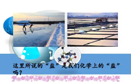 《生活中常见的盐》公开课一等奖课件