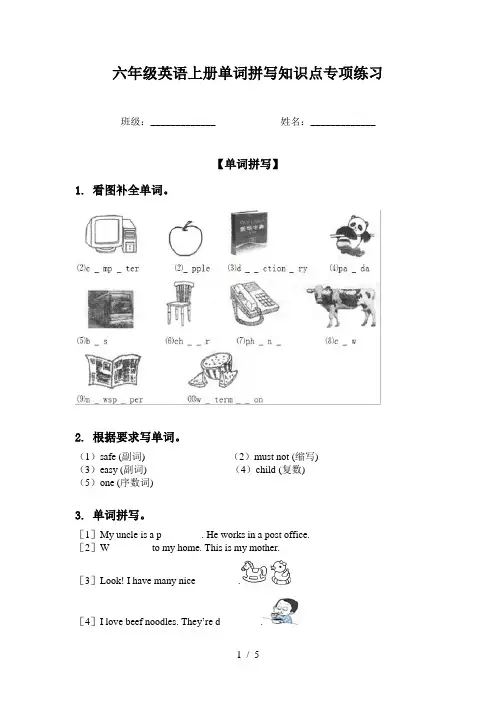 六年级英语上册单词拼写知识点专项练习