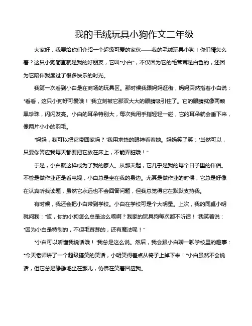 我的毛绒玩具小狗作文二年级