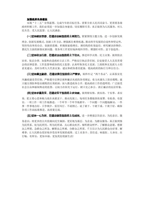 加强政府自身建设