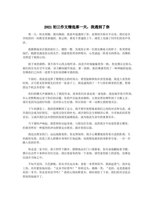 2021初三作文精选那一天,我遇到了你