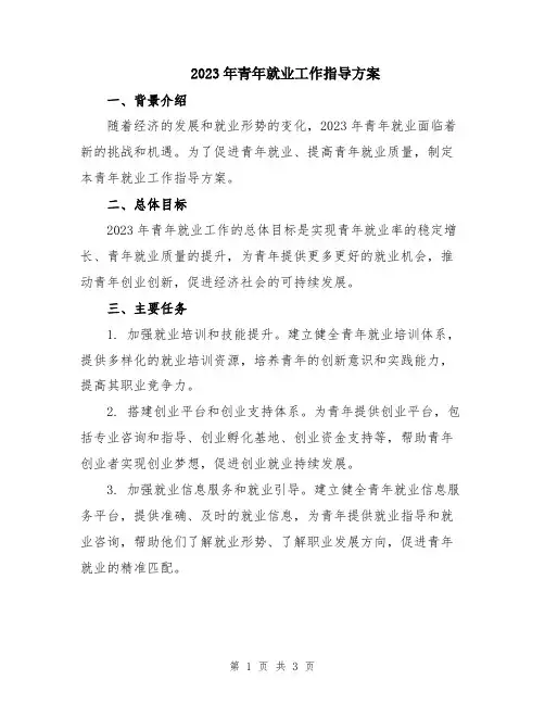 2023年青年就业工作指导方案