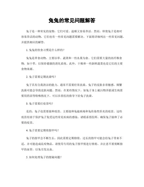 兔兔的常见问题解答