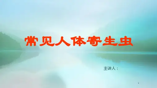 人体常见寄生虫介绍ppt课件