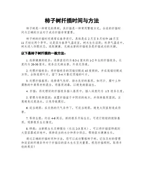 柿子树扦插时间与方法