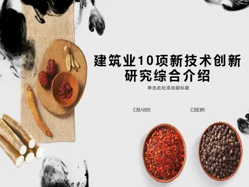 建筑业10项新技术创新研究综合介绍