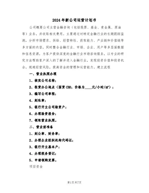 2024年新公司运营计划书（二篇）