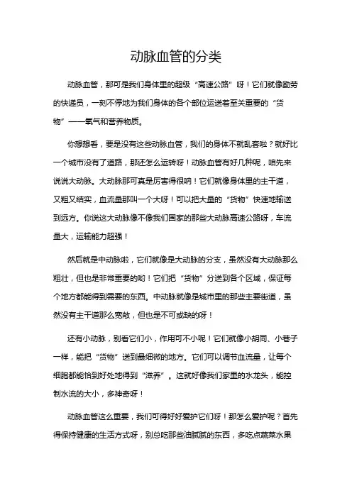 动脉血管的分类