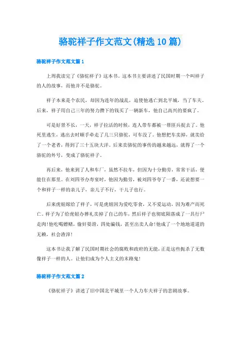 骆驼祥子作文范文(精选10篇)