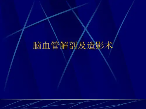 脑血管解剖及造影术