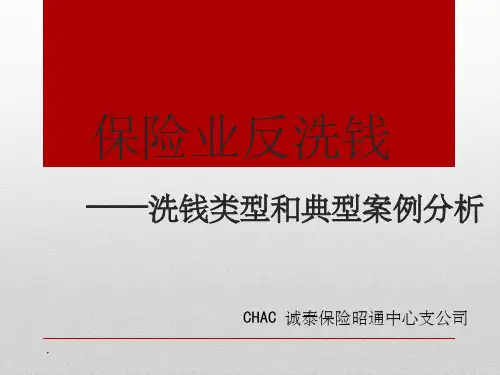 保险业反洗钱培训ppt课件