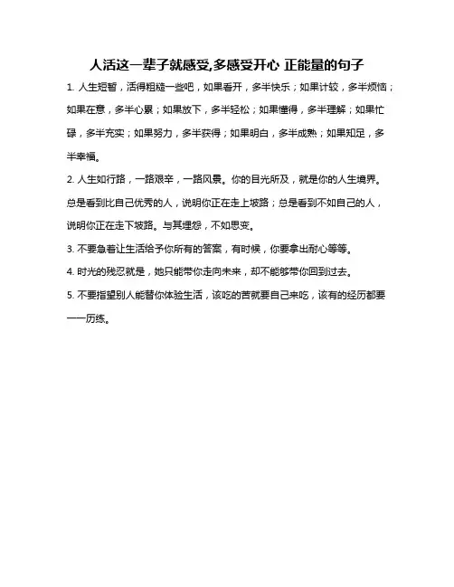 人活这一辈子就感受,多感受开心 正能量的句子