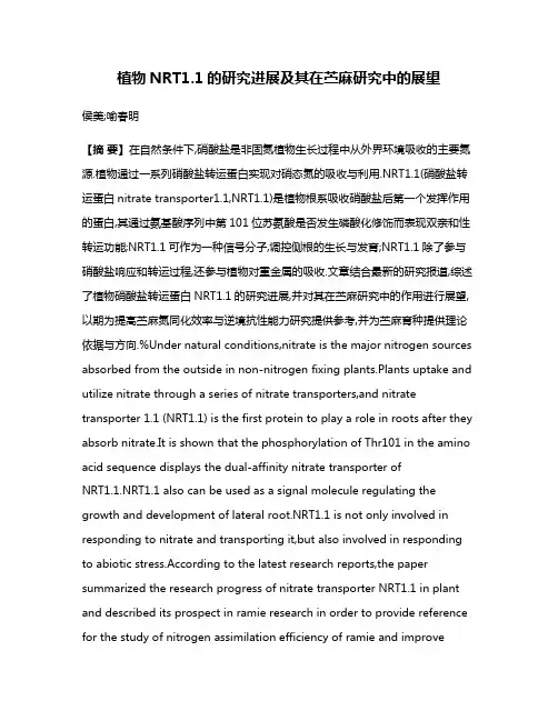 植物NRT1.1的研究进展及其在苎麻研究中的展望
