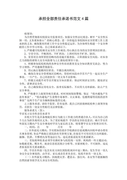 承担全部责任承诺书范文4篇