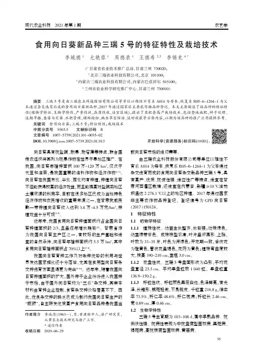 食用向日葵新品种三瑞5号的特征特性及栽培技术