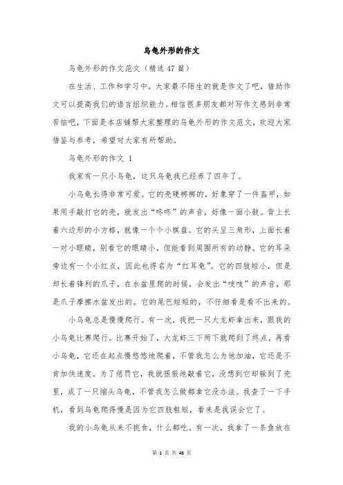 乌龟外形的作文