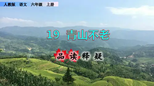 《青山不老》课件PPT(完美版)六年级上册语文部编