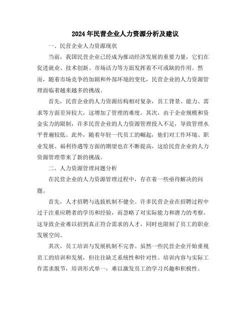 2024年民营企业人力资源分析及建议