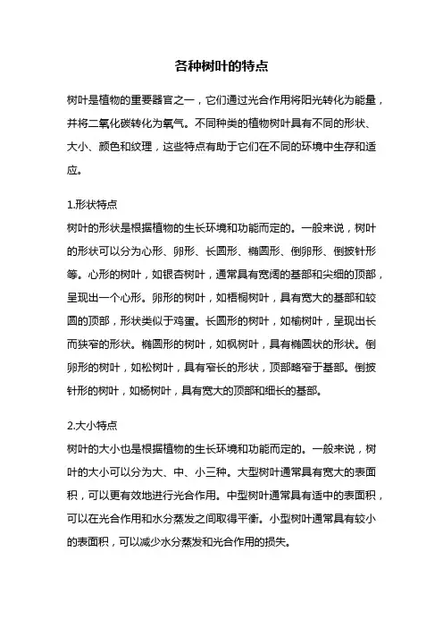 各种树叶的特点