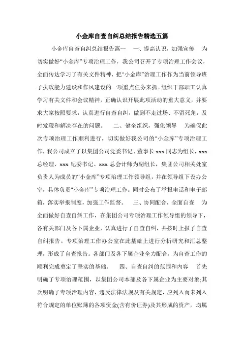 小金库自查自纠总结报告精选五篇