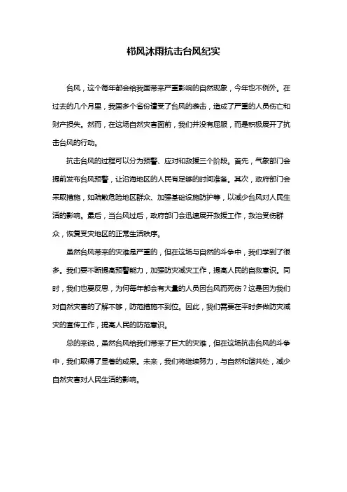 栉风沐雨抗击台风纪实