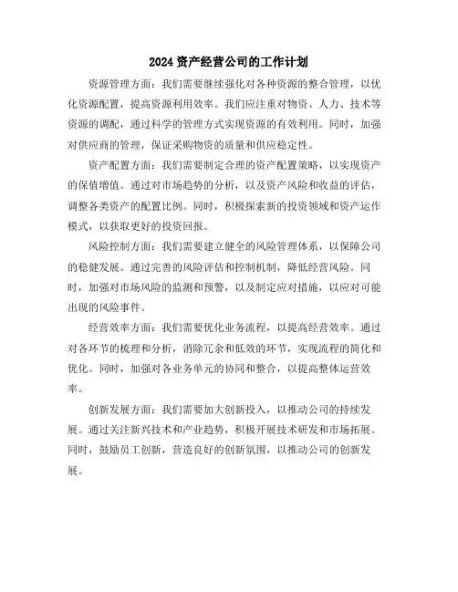 2024资产经营公司的工作计划