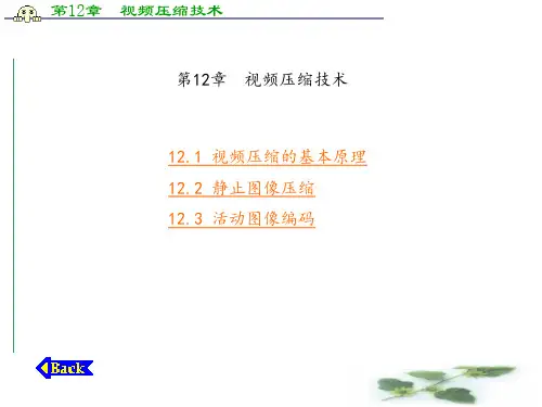 第12章  视频压缩技术