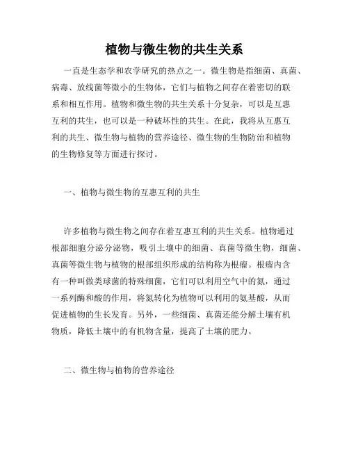 植物与微生物的共生关系