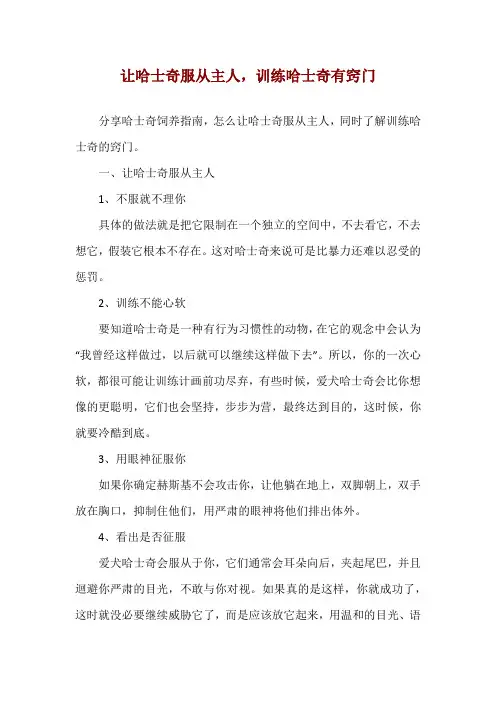 让哈士奇服从主人,训练哈士奇有窍门