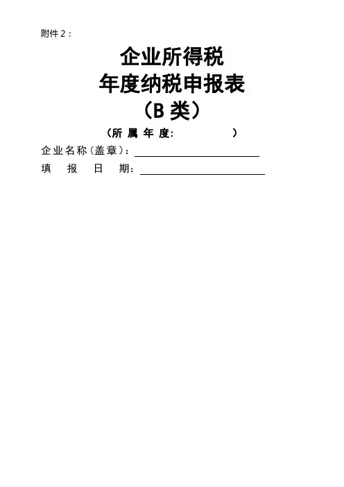 企业所得税年度纳税申报表B类