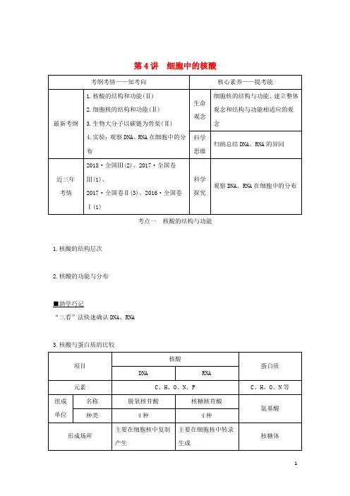 高考生物第二单元细胞的自我保障第4讲细胞中的核酸学案中图版必修1