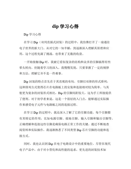 dip学习心得