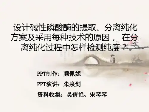 设计碱性磷酸酶的提取、分离纯化方案