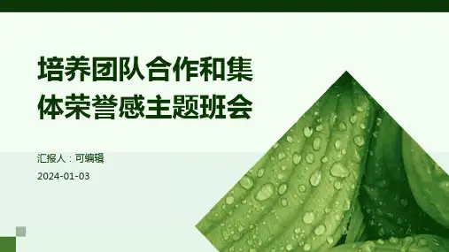 培养团队合作和集体荣誉感主题班会