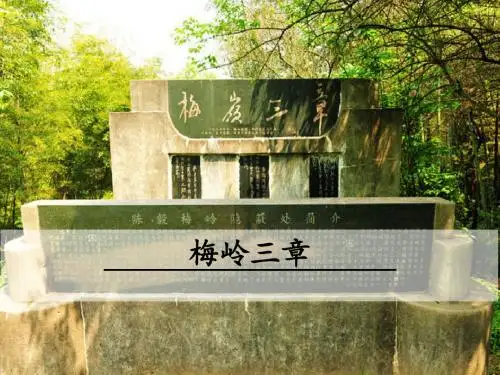 2018年部编版新教材九年级语文下册2梅岭三章优秀PPT课件