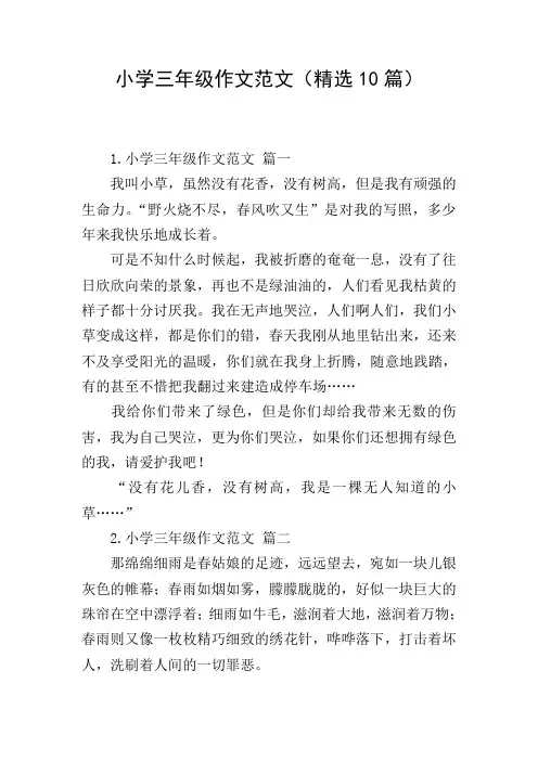 小学三年级作文范文(精选10篇)