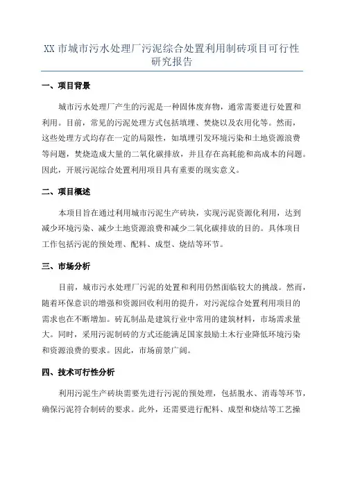 XX市城市污水处理厂污泥综合处置利用制砖项目可行性研究报告
