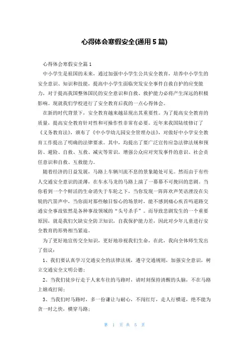 心得体会寒假安全(通用5篇)