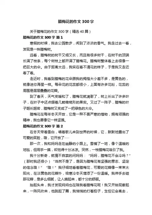 关于腊梅花的作文300字（精选40篇）