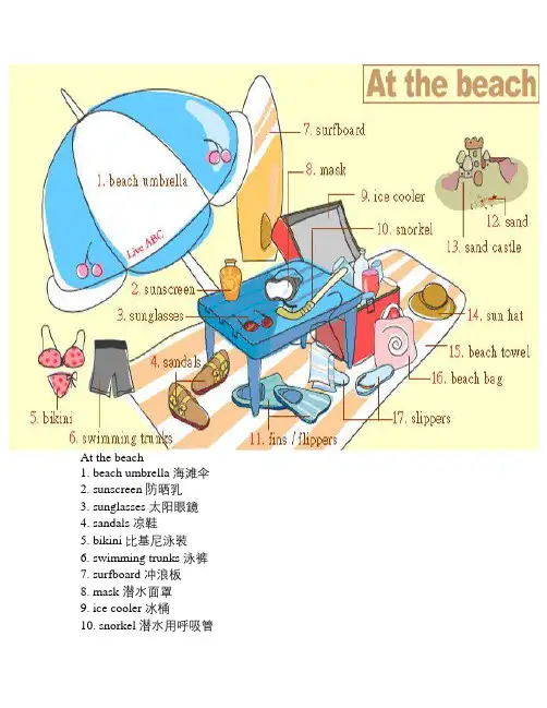看图学英语At the beach